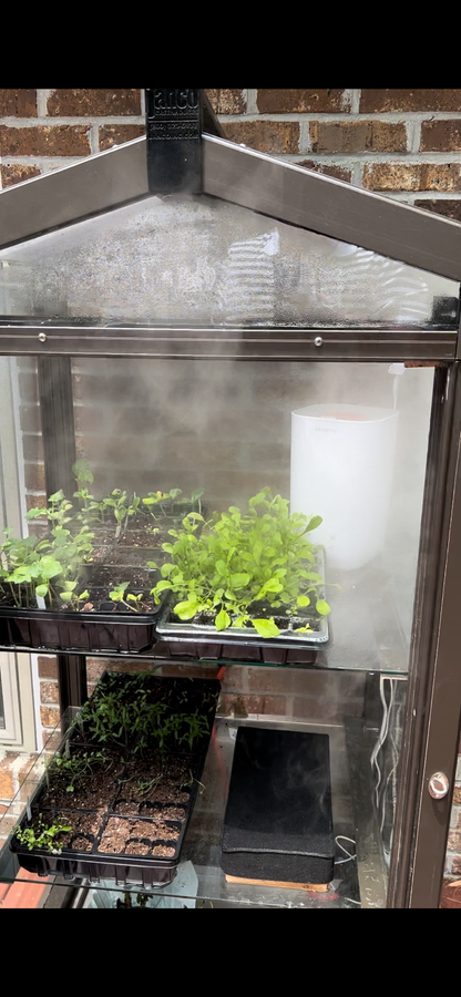 Janco Indoor/Outdoor Greenhouse Garden Cabinet